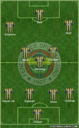 Fenerbahçe SK Formation 2013