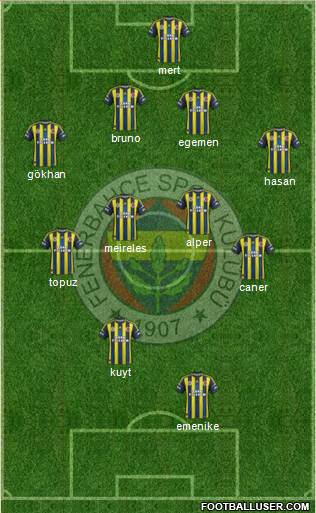 Fenerbahçe SK Formation 2013