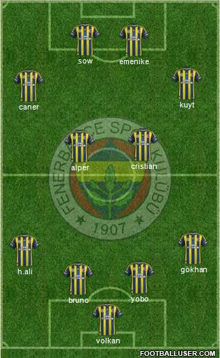 Fenerbahçe SK Formation 2013