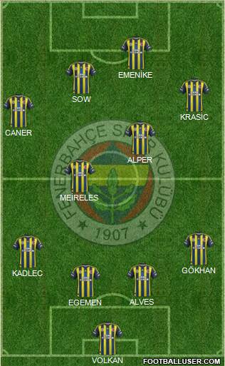 Fenerbahçe SK Formation 2013