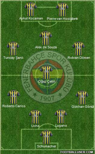 Fenerbahçe SK Formation 2013