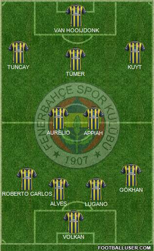 Fenerbahçe SK Formation 2013