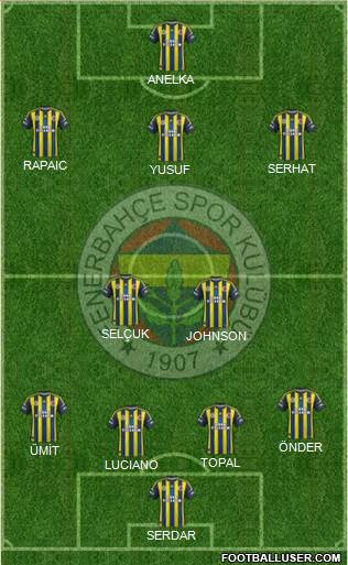Fenerbahçe SK Formation 2013