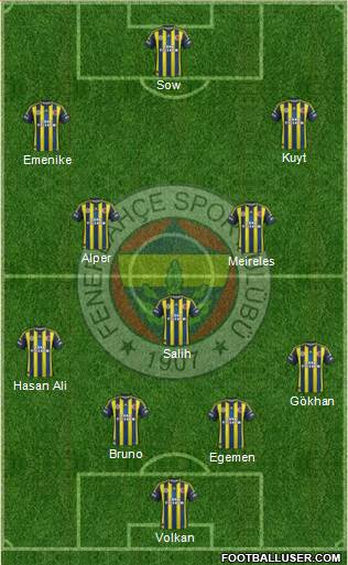 Fenerbahçe SK Formation 2013