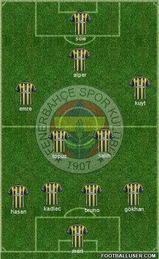 Fenerbahçe SK Formation 2013