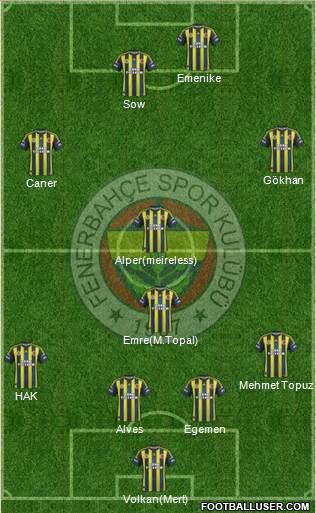 Fenerbahçe SK Formation 2013