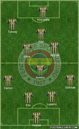 Fenerbahçe SK Formation 2013