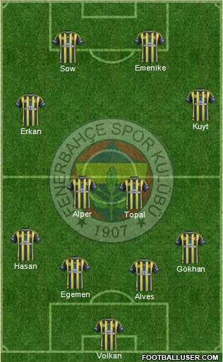 Fenerbahçe SK Formation 2013