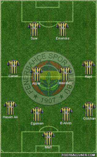 Fenerbahçe SK Formation 2013