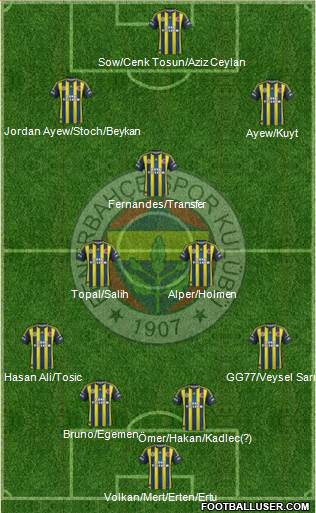 Fenerbahçe SK Formation 2013