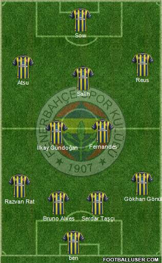 Fenerbahçe SK Formation 2013