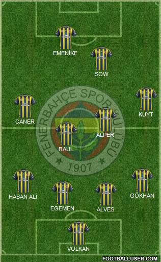 Fenerbahçe SK Formation 2013