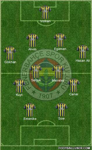 Fenerbahçe SK Formation 2013
