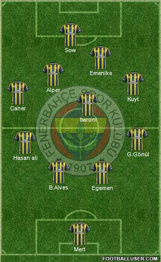 Fenerbahçe SK Formation 2013