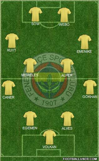 Fenerbahçe SK Formation 2013