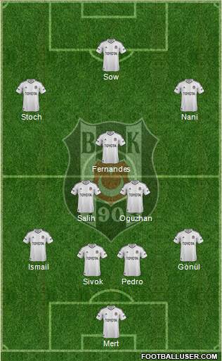 Besiktas JK Formation 2013