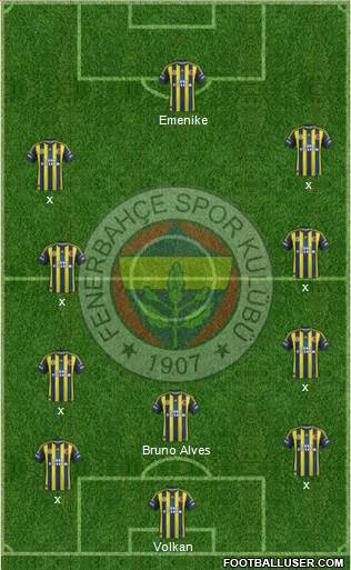 Fenerbahçe SK Formation 2013