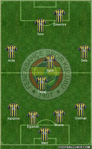 Fenerbahçe SK Formation 2013