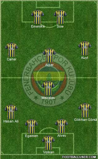 Fenerbahçe SK Formation 2013