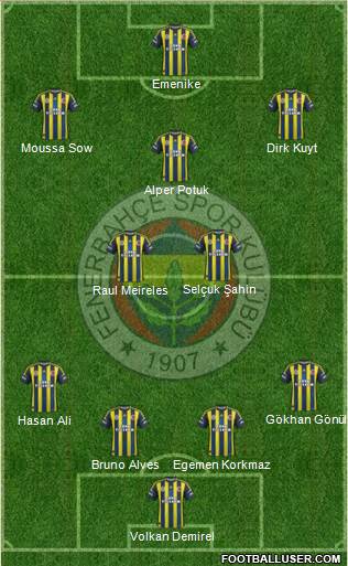 Fenerbahçe SK Formation 2013