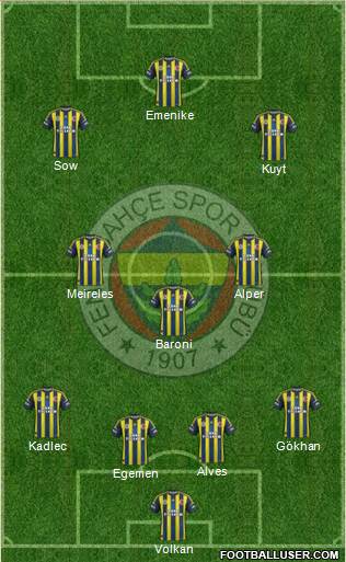 Fenerbahçe SK Formation 2013