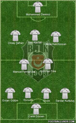 Besiktas JK Formation 2013