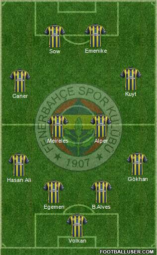 Fenerbahçe SK Formation 2013