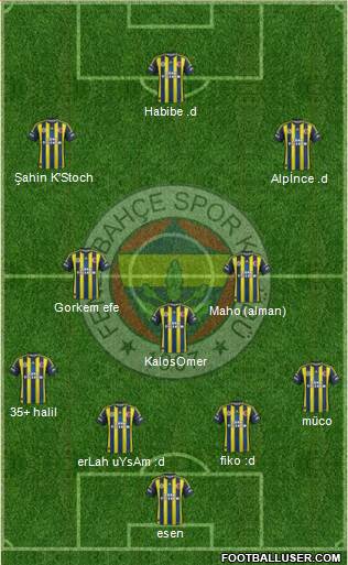 Fenerbahçe SK Formation 2013