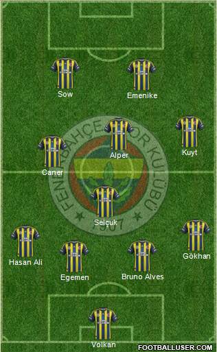 Fenerbahçe SK Formation 2013
