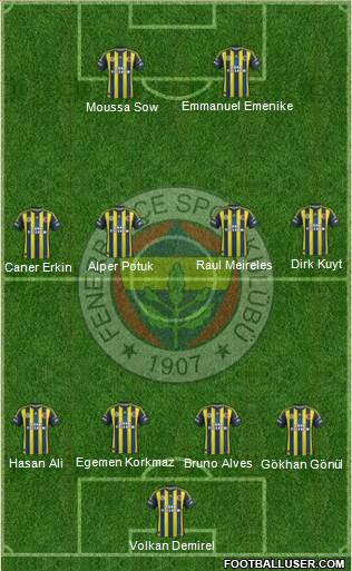 Fenerbahçe SK Formation 2013