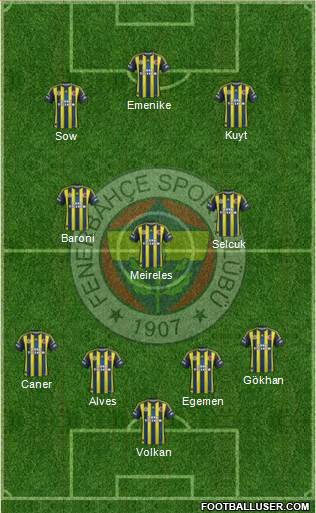 Fenerbahçe SK Formation 2013