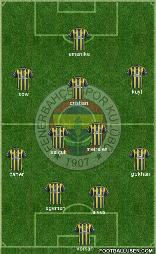 Fenerbahçe SK Formation 2013