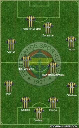 Fenerbahçe SK Formation 2013