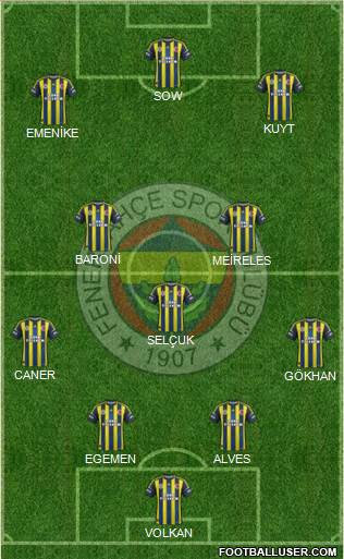 Fenerbahçe SK Formation 2013