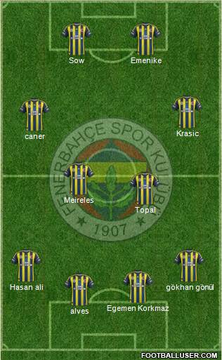 Fenerbahçe SK Formation 2013