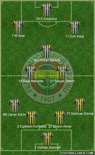 Fenerbahçe SK Formation 2013
