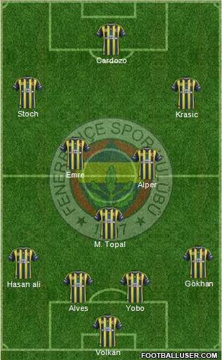 Fenerbahçe SK Formation 2013