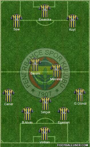 Fenerbahçe SK Formation 2013