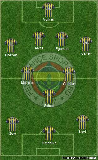 Fenerbahçe SK Formation 2013