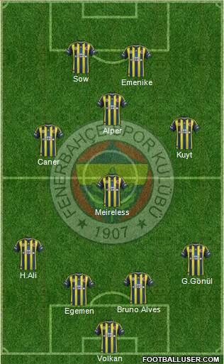 Fenerbahçe SK Formation 2013