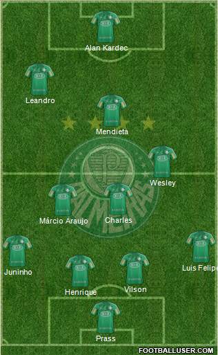 SE Palmeiras Formation 2013