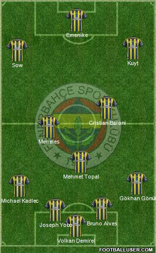 Fenerbahçe SK Formation 2013