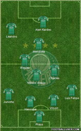 SE Palmeiras Formation 2013