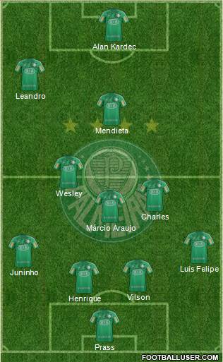 SE Palmeiras Formation 2013