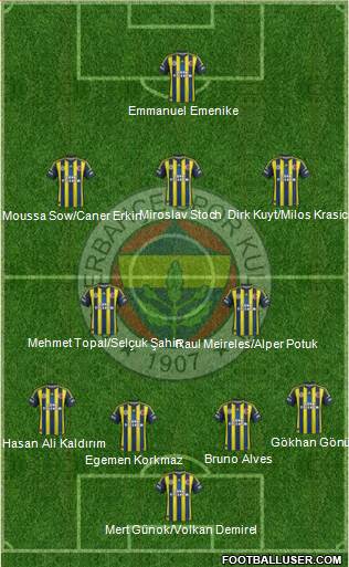 Fenerbahçe SK Formation 2013