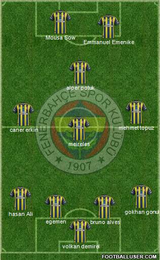 Fenerbahçe SK Formation 2013