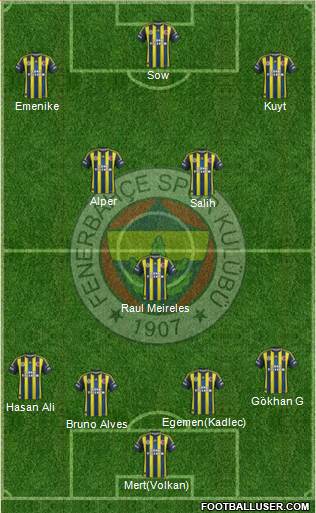 Fenerbahçe SK Formation 2013