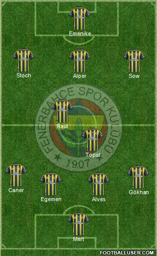 Fenerbahçe SK Formation 2013