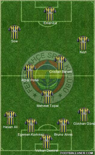 Fenerbahçe SK Formation 2013