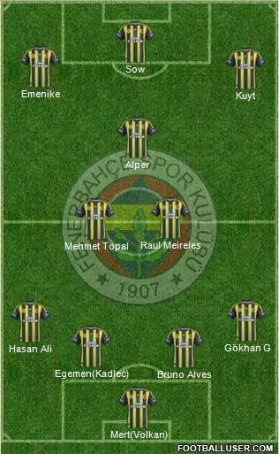 Fenerbahçe SK Formation 2013